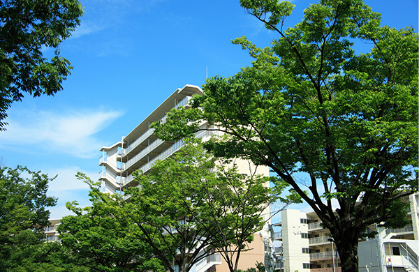 仲介売却のメリットと注意点